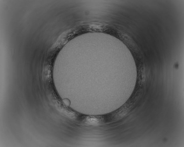 X0000116480706201001061120