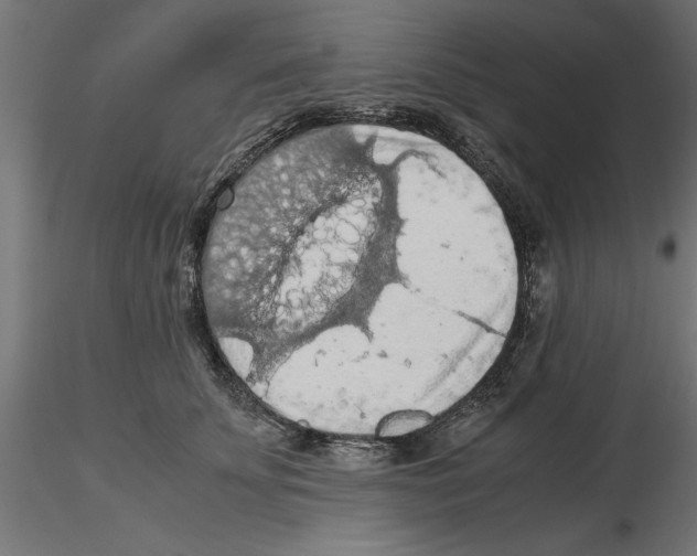 X0000116480707201001061120