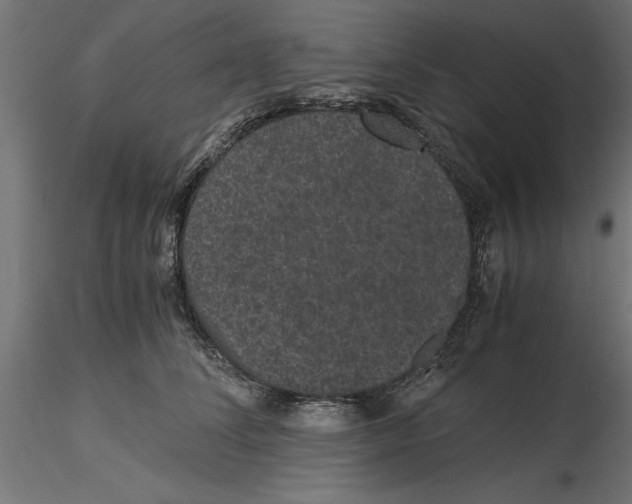 X0000116480708201001061120