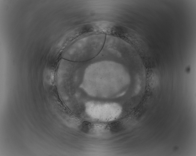 X0000116480709201001061120