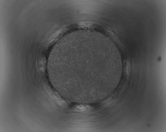 X0000116480712201001061120