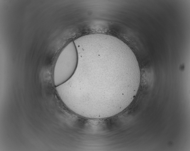 X0000116480713201001061120