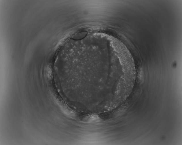 X0000116480715201001061120