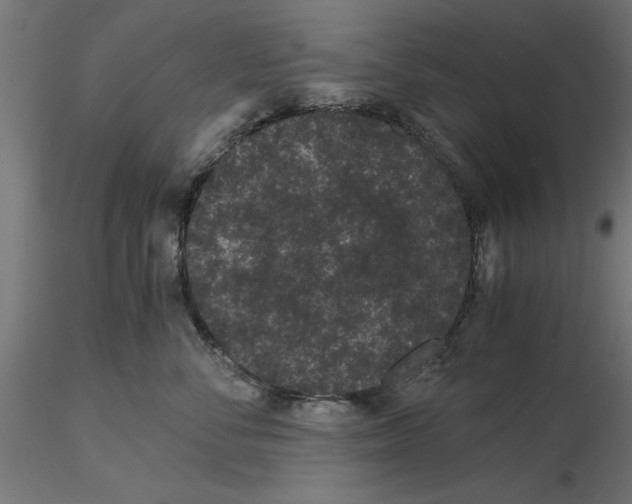 X0000116480716201001061120