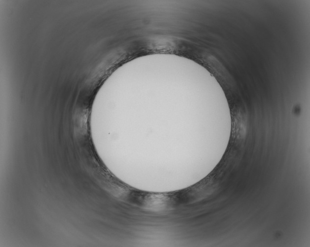 X0000116480717201001061120