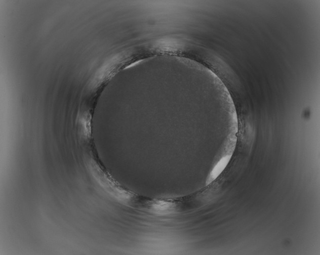 X0000116480718201001061120