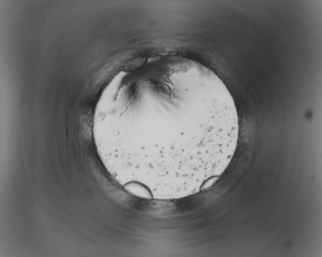 X0000116480719201001061120