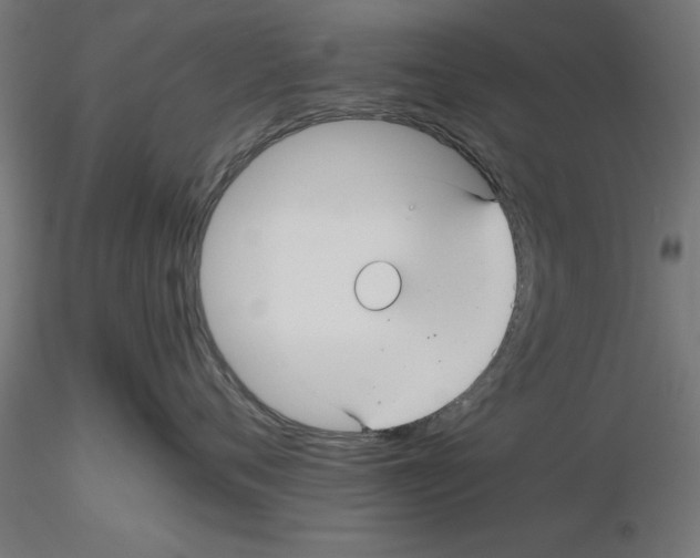 X0000116480720201001061120