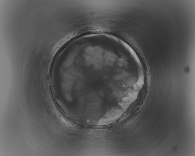 X0000116480721201001061119