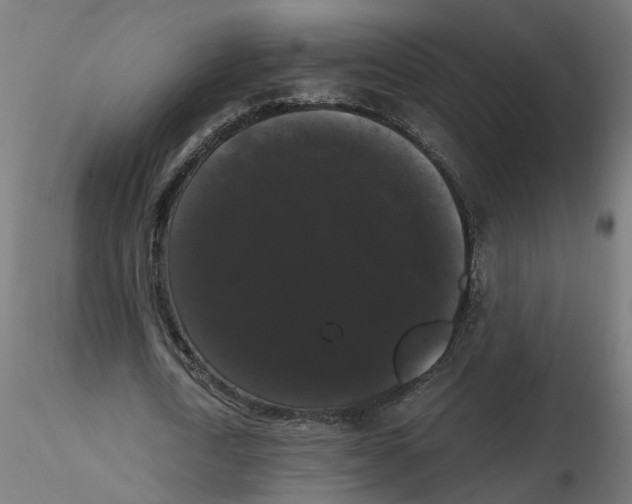 X0000116480722201001061119