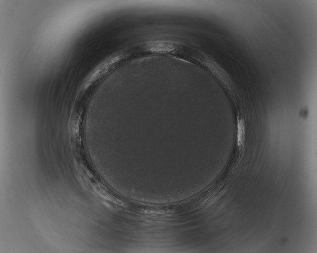 X0000116480723201001061119