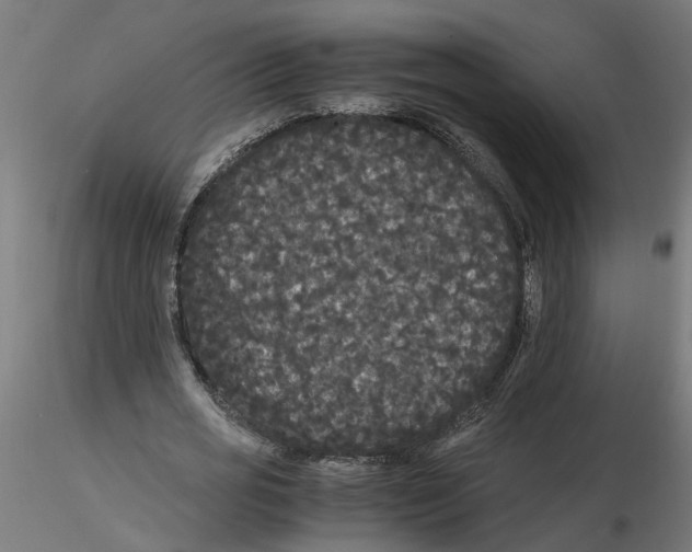 X0000116480725201001061119