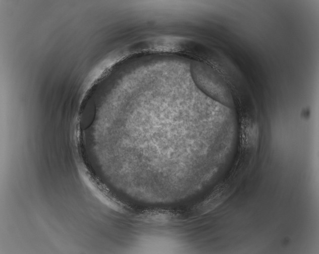 X0000116480726201001061119