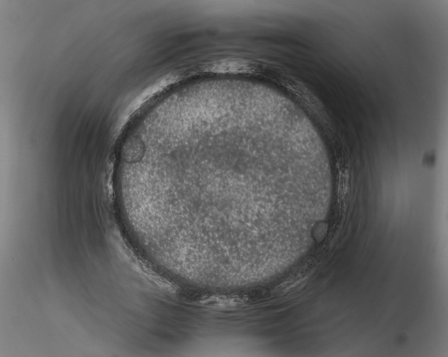 X0000116480727201001061119