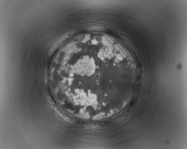 X0000116480729201001061119