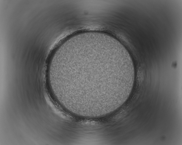 X0000116480730201001061119