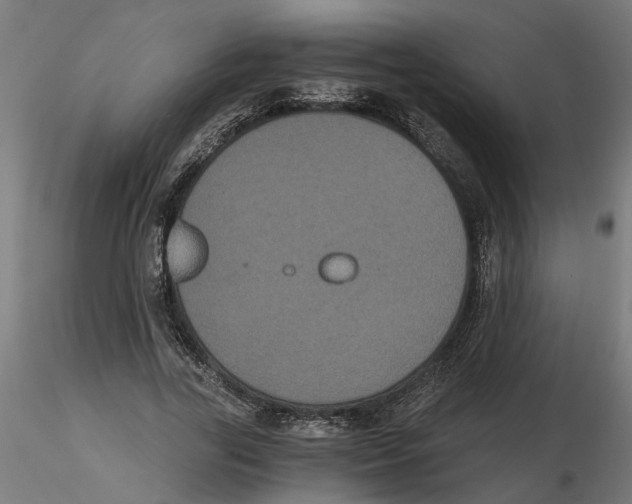 X0000116480731201001061119