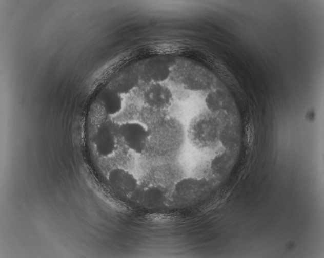 X0000116480733201001061119