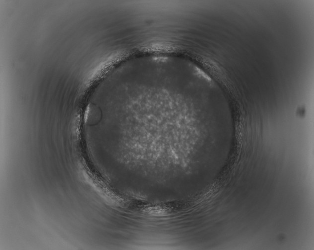 X0000116480735201001061119