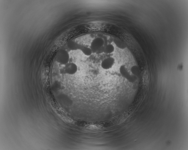 X0000116480737201001061119