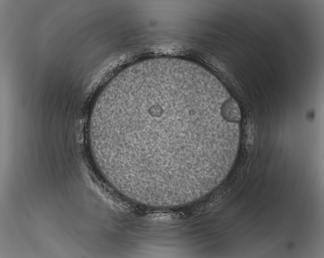 X0000116480738201001061119