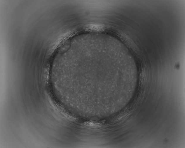 X0000116480739201001061119