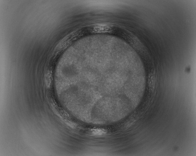 X0000116480741201001061119