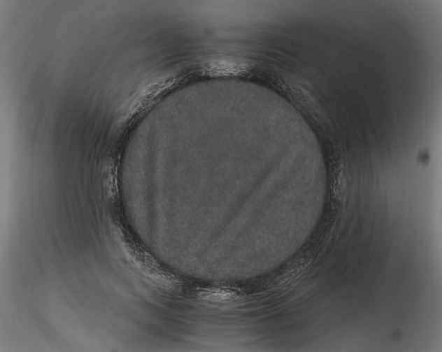 X0000116480743201001061120