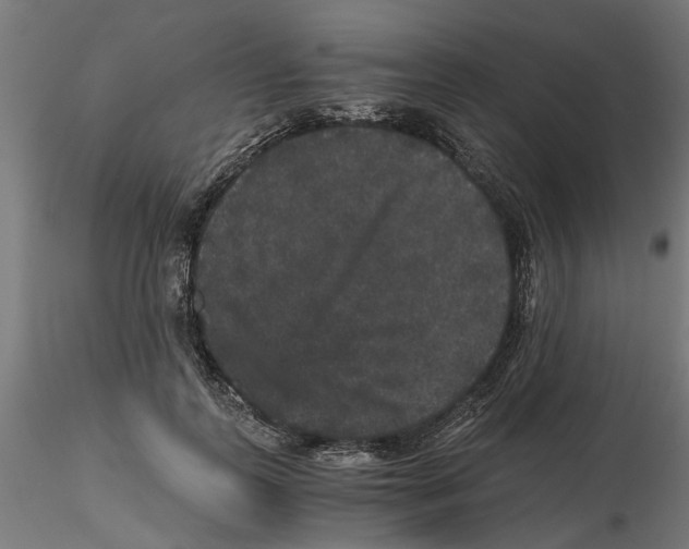 X0000116480747201001061120