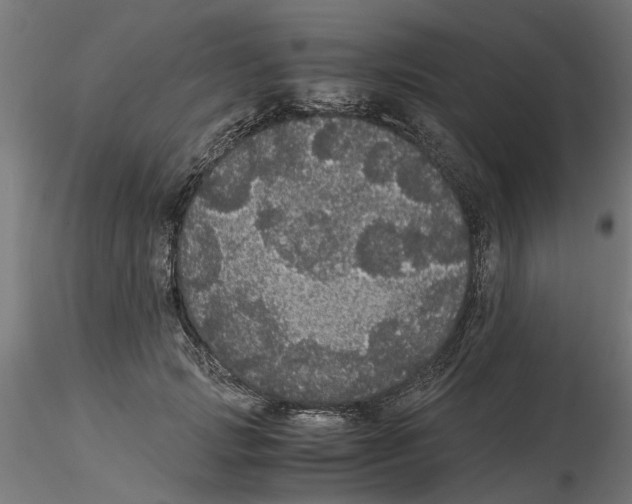 X0000116480749201001061120