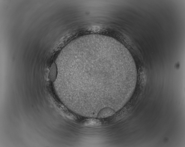 X0000116480750201001061120