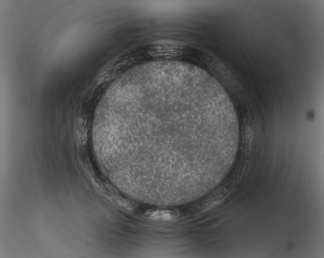 X0000116480751201001061120