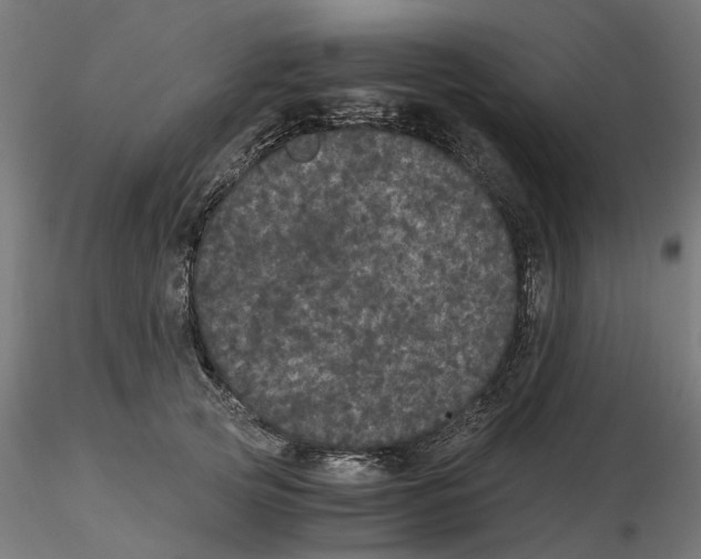 X0000116480753201001061120