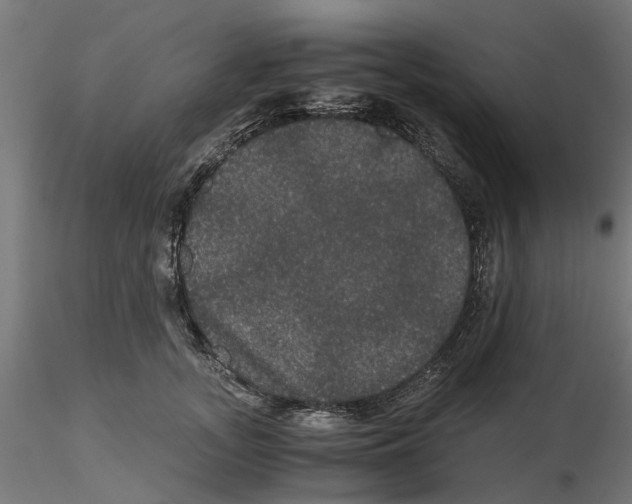 X0000116480755201001061120