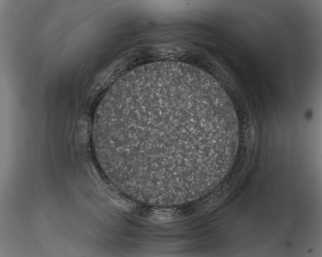 X0000116480757201001061120