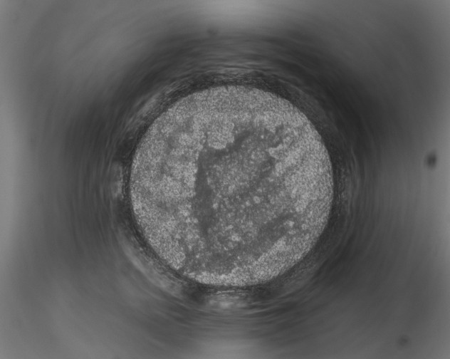 X0000116480758201001061120