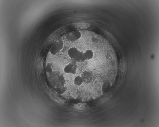 X0000116480761201001061120