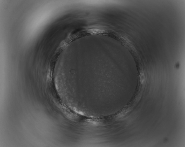 X0000116480763201001061120