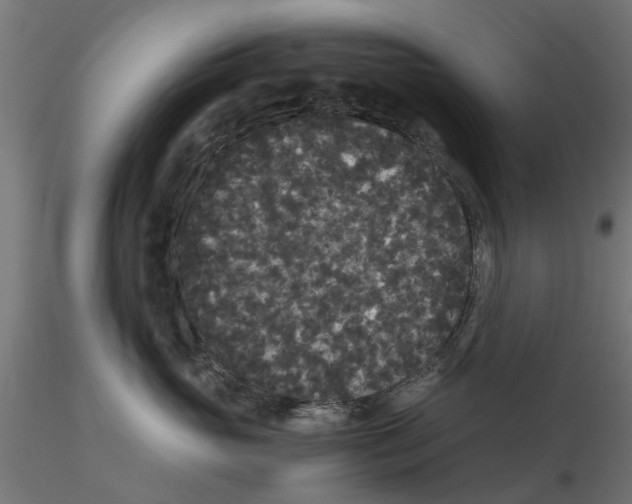 X0000116480765201001061120