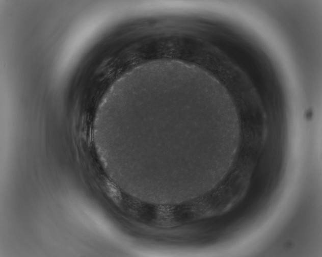 X0000116480766201001061120