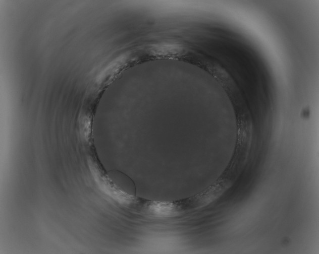 X0000116480767201001061120