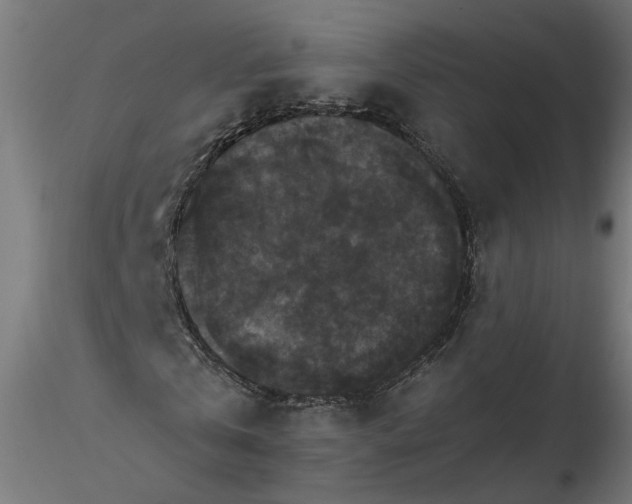 X0000116480769201001061119