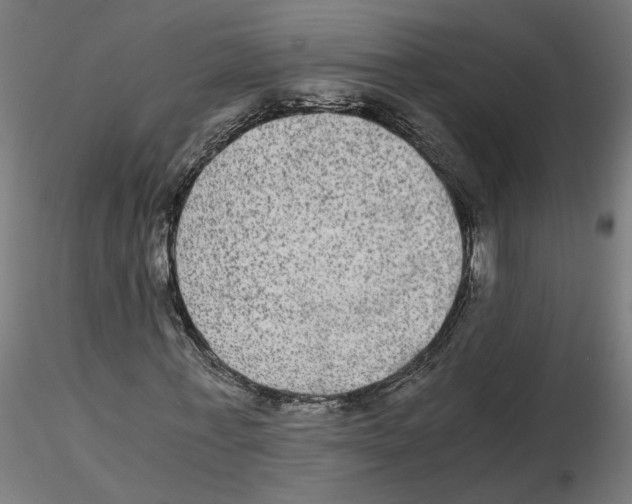 X0000116480771201001061119