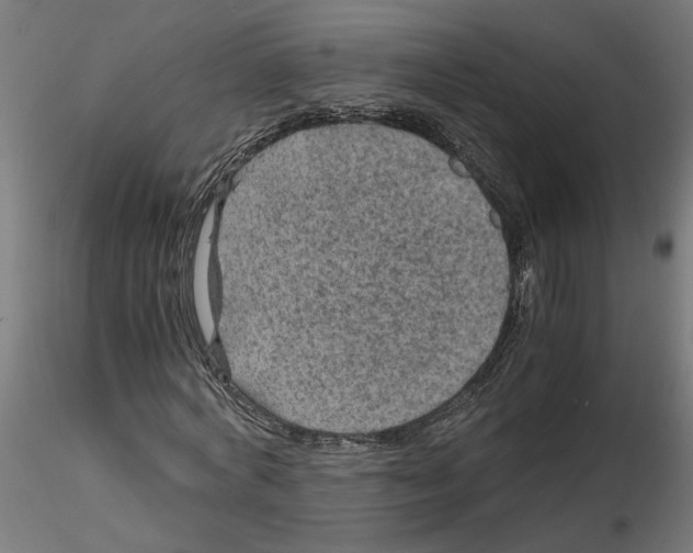 X0000116480772201001061119