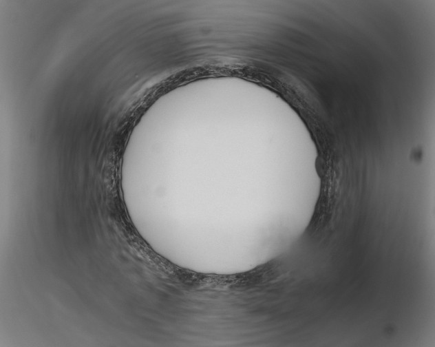 X0000116480773201001061119