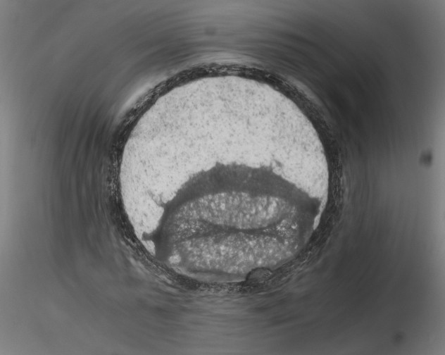 X0000116480775201001061119