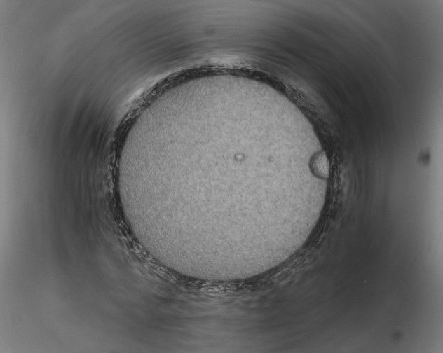 X0000116480776201001061119