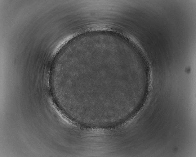 X0000116480777201001061119