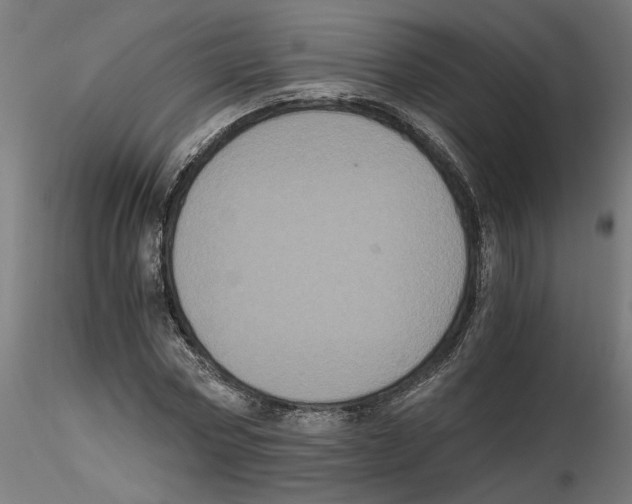 X0000116480778201001061119