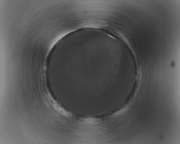 X0000116480779201001061119